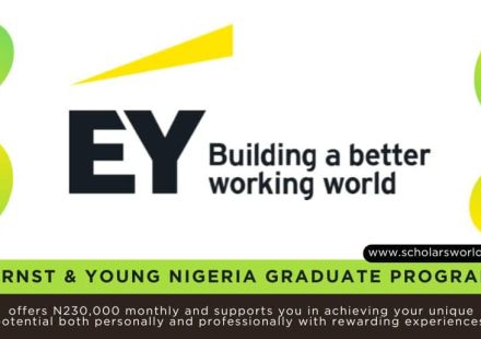 Ernst & Young (EY) Graduate Trainee Program 2027