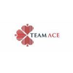 Digital Marketing Intern at TeamAce Limited